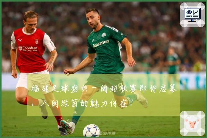 福建足球盛典 - 闽超联赛即将启幕，八闽绿茵的魅力何在？