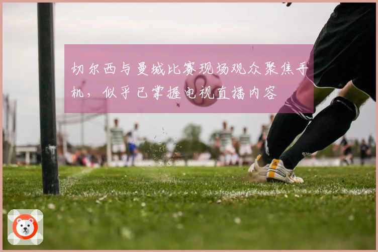 切尔西与曼城比赛现场观众聚焦手机，似乎已掌握电视直播内容