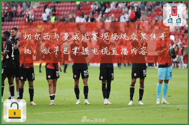 切尔西与曼城比赛现场观众聚焦手机，似乎已掌握电视直播内容