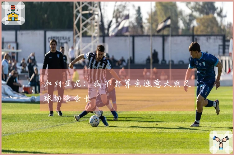 加利亚尼：我不打算竞选意大利足球协会会长