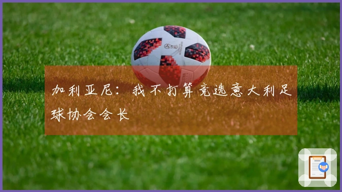 加利亚尼：我不打算竞选意大利足球协会会长